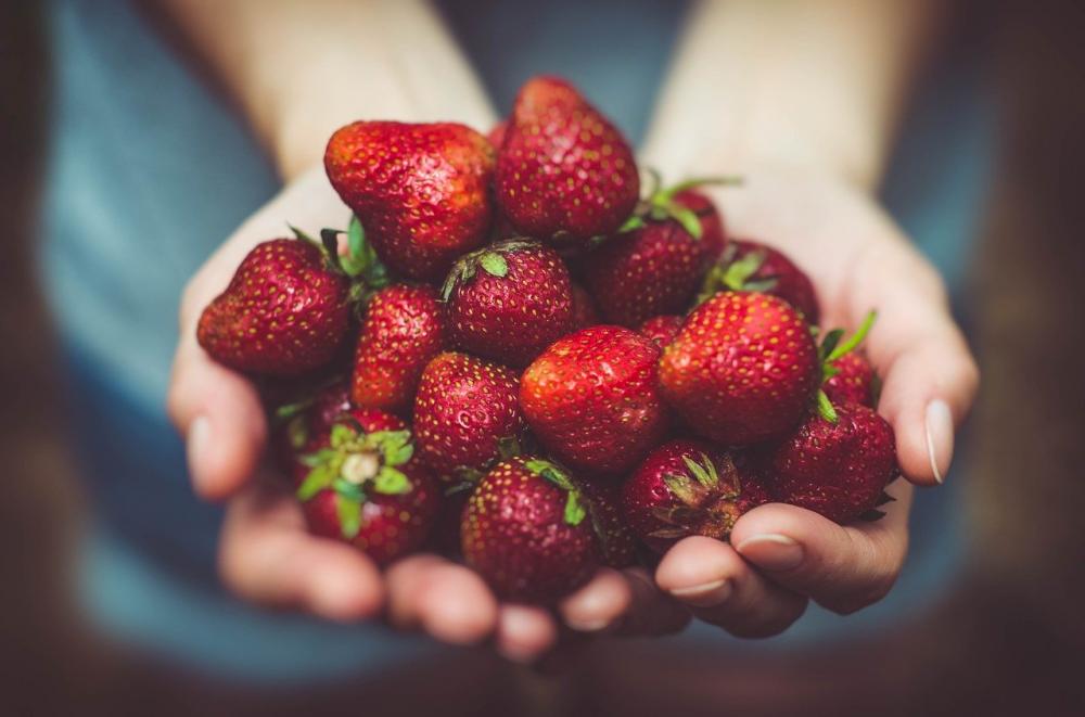 Você sabia que consumir morango previne doenças do coração? Veja mais detalhes aqui 