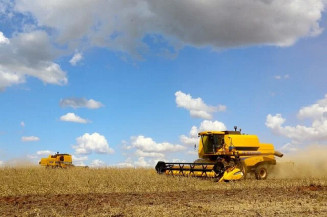 Brasil deve colher 131,8 milhões de toneladas de soja, aponta IBGE