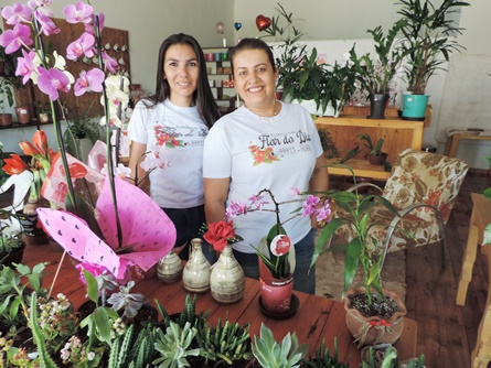 Floricultura Flor do dia completa 1º aniversário com promoção especial em Deodápolis