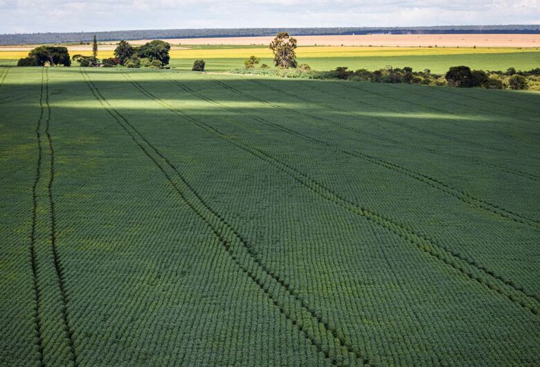 Alta decorre da expansão do algodão, trigo e milho - Crédito: Divulgação/CNA 