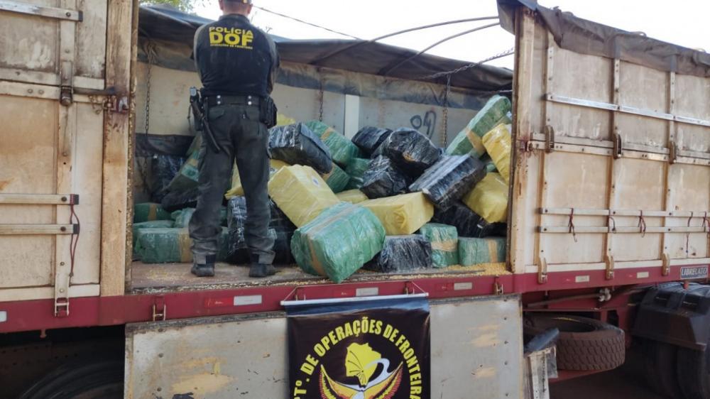 Droga estava escondido em meio a uma carga lícita de milho; Foto: Adilson Domingos