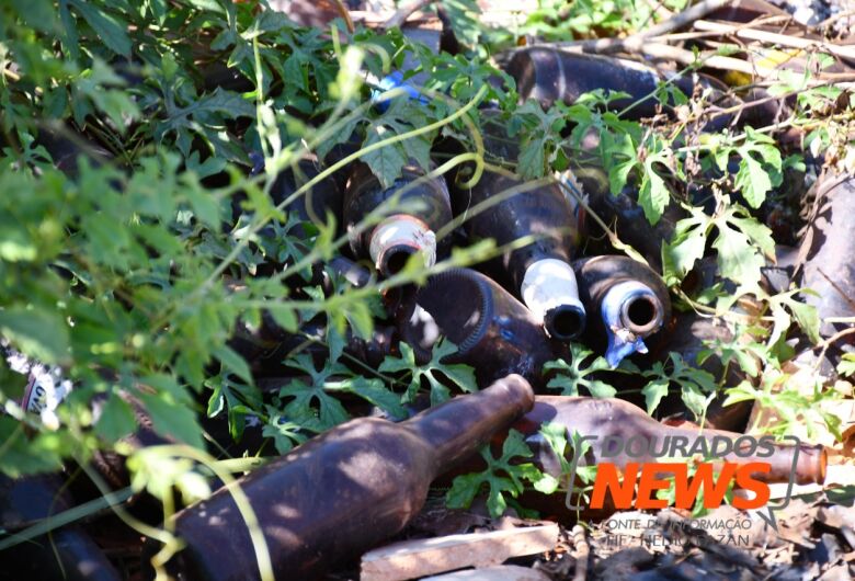 O vírus do dengue pertence à família dos flavivírus e é classificado no meio científico como um arbovírus, os quais são transmitidos pelos mosquitos Aedes aegypti - Crédito: Hedio Fazan/Dourados News/Arquivo