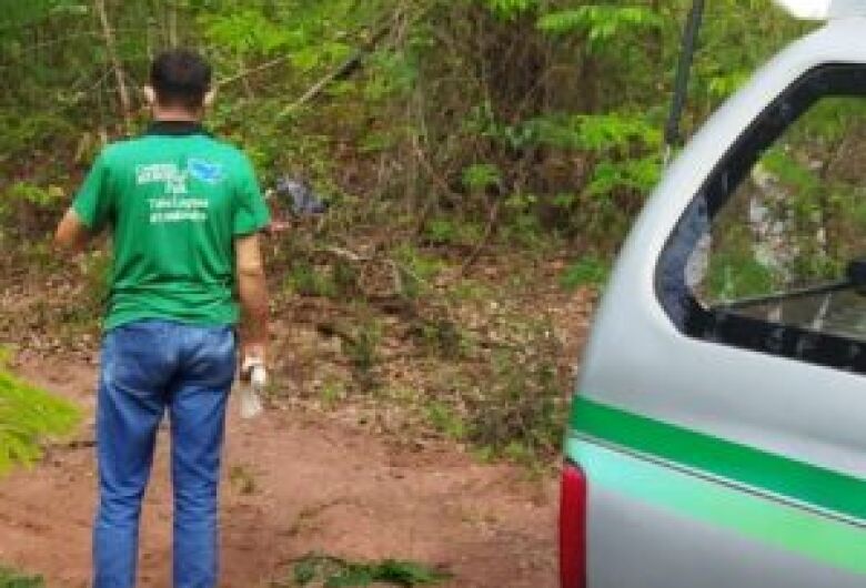 Em menos de 24 horas, dois corpos parcialmente carbonizados foram localizados na mesma região - Crédito: Fatos MS