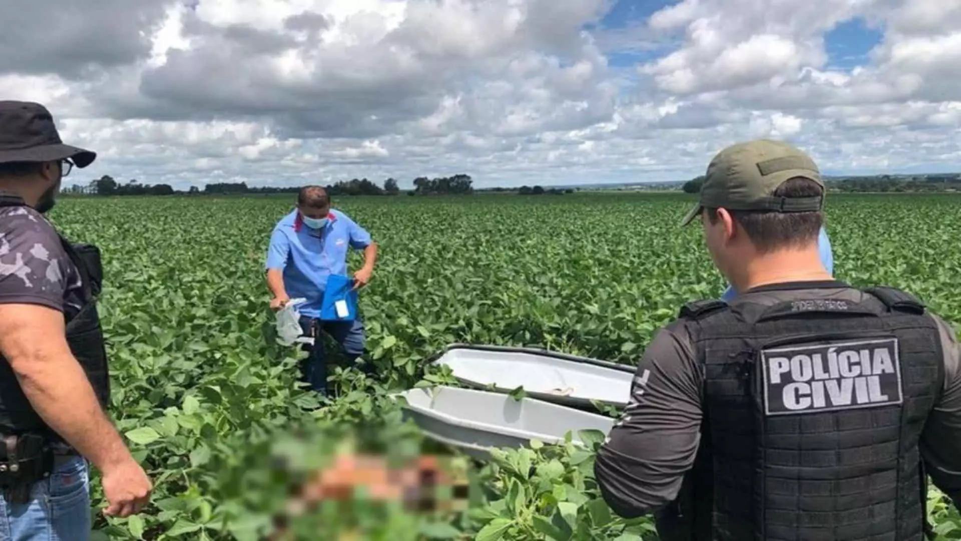 Corpo foi desovado na lavoura de soja - Foto: Divulgação/PCMS