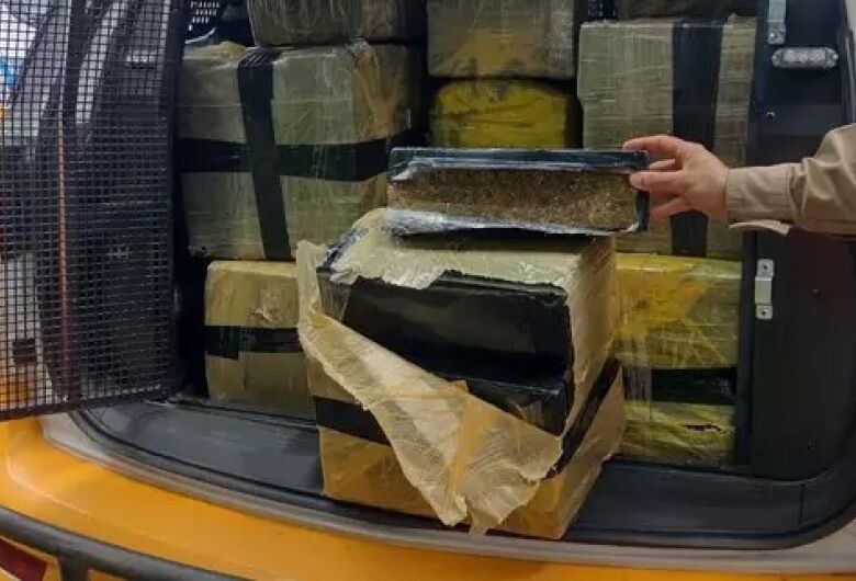 Parte do carregamento apreendidos pelos policiais - Crédito: (Divulgação/PMMG) 