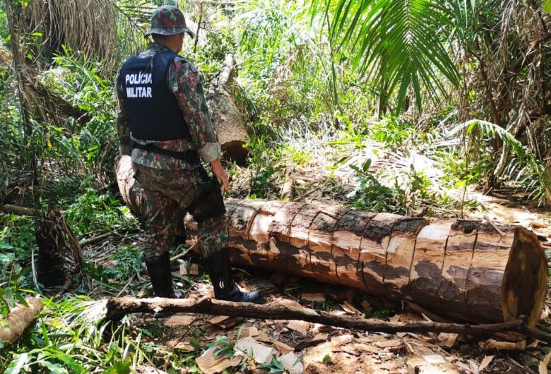 Crimes ambientais renderam milhões de reais em multas - Crédito: Divulgação/PMA 