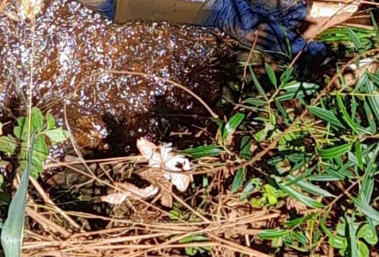 Homem foi encontrado morto em córrego - Crédito: Divulgação