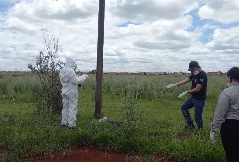 A vítima foi localizada em uma mata entre o Cachoeirinha e região do Estrela Porã - Crédito: Leandro Holsbach/Alerta Dourados