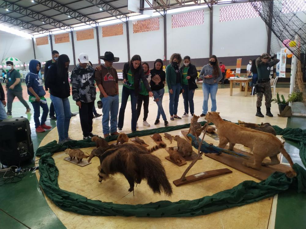 Agência Municipal de Meio Ambiente realiza 2ª Feira Ecológica em Deodápolis nesta terça (13/06)