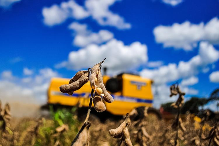 Sistema Famasul traz algumas alternativas para a gestão de risco no campo