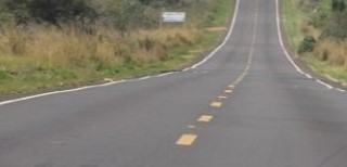 Condutor procurou a Delpol após atingir cervo na MS 276, à 20km de Lagoa Bonita