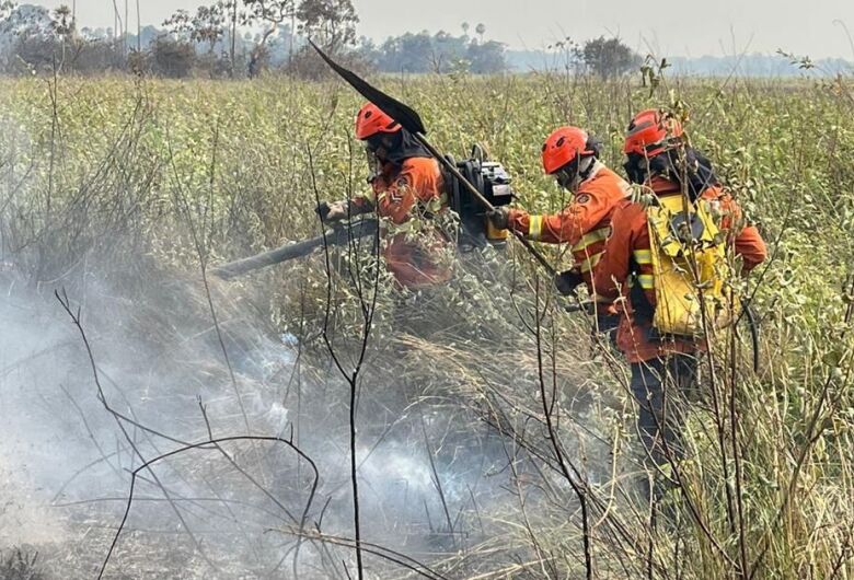 Incêndios são controlados no Pantanal e equipes continuam rescaldo e monitoramento da região