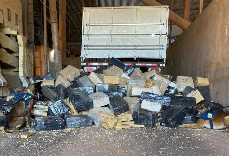 Caminhoneiro é preso no Paraná com quase 6t de maconha que saiu de MS
