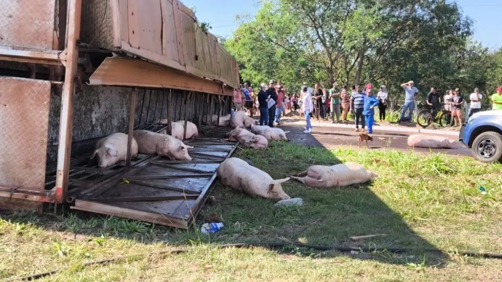 Foto: Arquivo/Sidnei Bronka/Ligado Na Notícia
