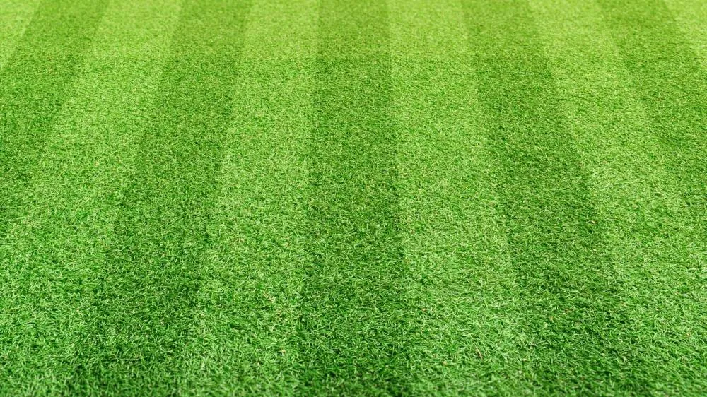 Final do 2º Campeonato de Futebol Amador de Deodápolis será realizada neste domingo
