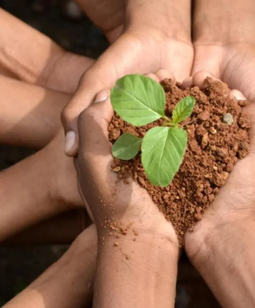 Deodápolis institui política municipal de meio ambiente e estabelece novas diretrizes ambientais