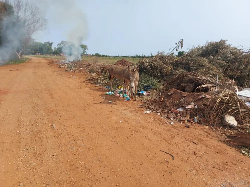 Deodápolis: MPMS investigará responsáveis por descarte irregular de lixo em Lagoa Bonita