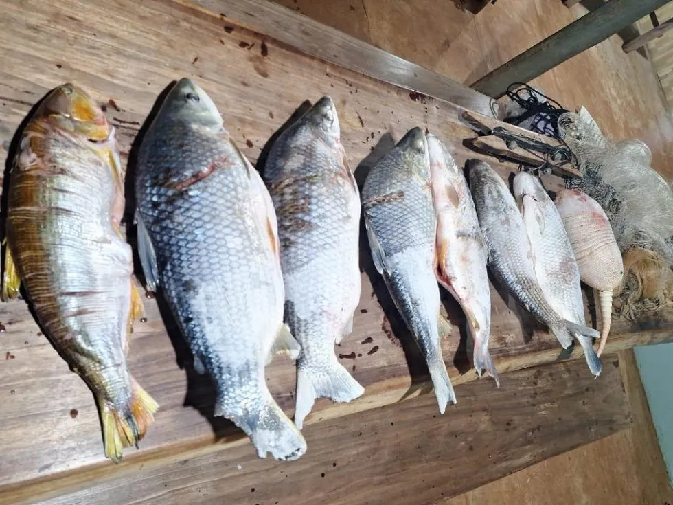PMA prende homem em flagrante por pesca predatória durante a piracema