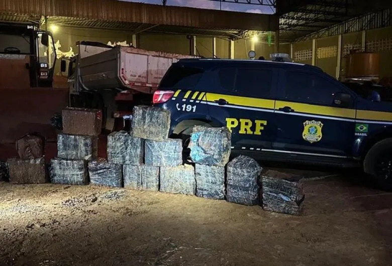 Farejadores encontram quase meia tonelada de cocaína em carga de minério de ferro