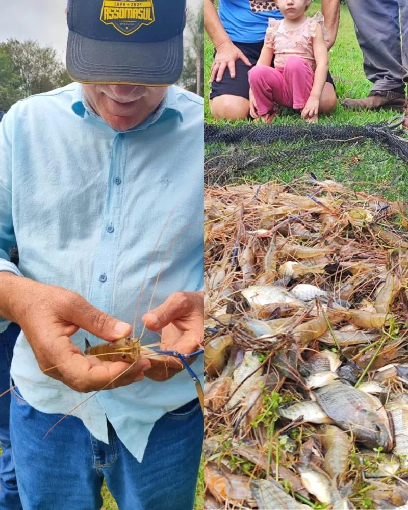 Deodápolis estuda cultivo de camarão gigante da Malásia como alternativa para o desenvolvimento rural