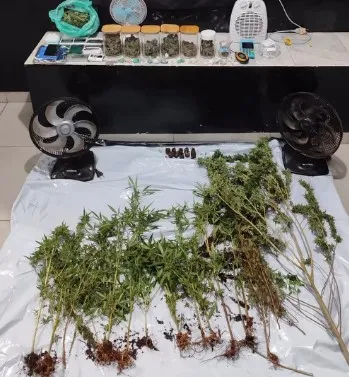 Força Tática desmantela laboratório de drogas e apreende grande quantidade de entorpecentes em residência de Deodápolis
