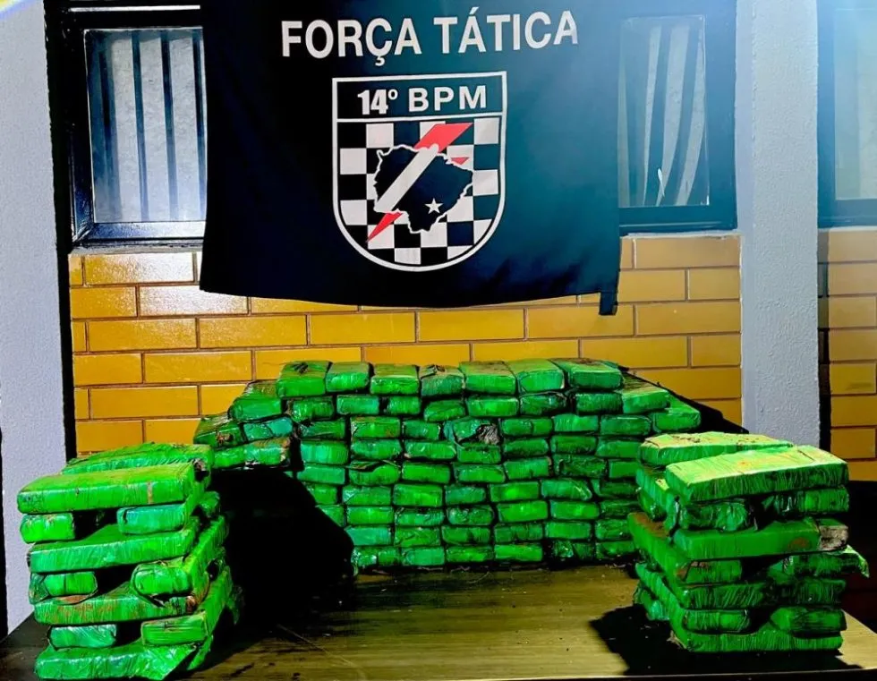 Divulgação