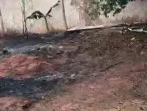 Idosa de 91 anos passa mal após incêndio em terreno vizinho no Jardim Europa
