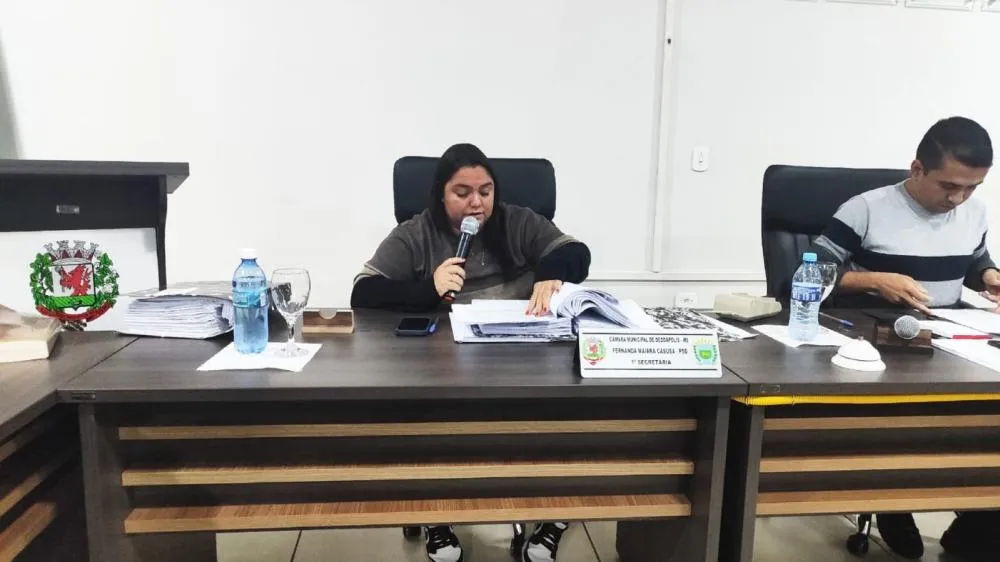 Vereadora Fernandinha Cazuza propõe em indicação, plano de ações de fim de ano com decoração natalina em Deodápolis
