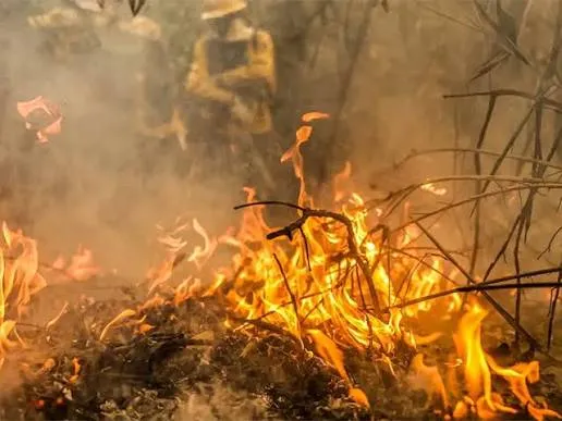 MPMS instaura inquérito para apurar incêndio que destruiu 81 hectares de vegetação nativa em Nova Alvorada do Sul