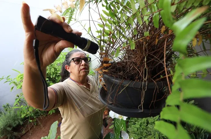 MS registra 8.461 casos confirmados de dengue