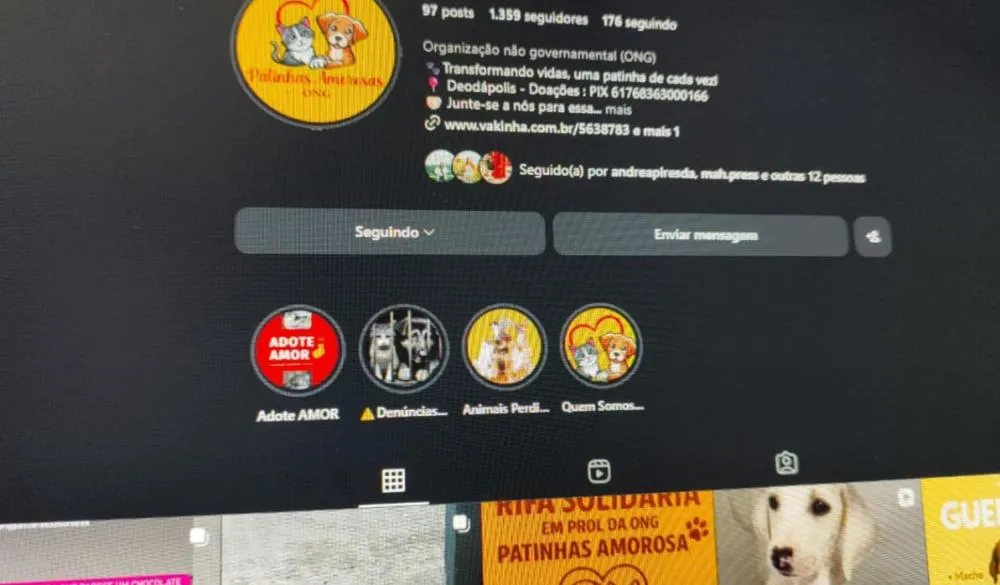 Janeiro Branco reforça papel dos animais no cuidado com a saúde mental
