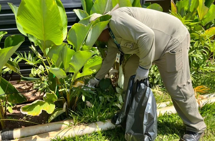 Mato Grosso do Sul se antecipa no controle do Aedes aegypti para 2026