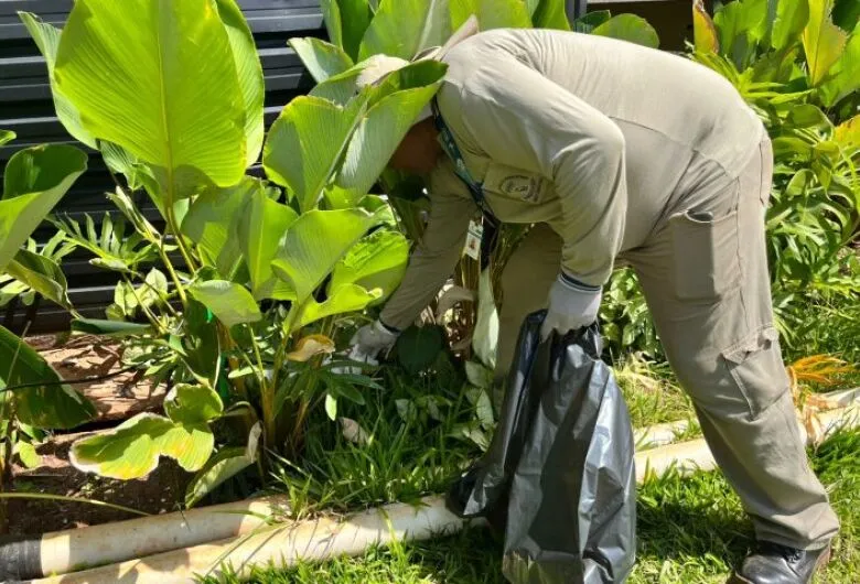 MS registra 42 casos confirmados de dengue
