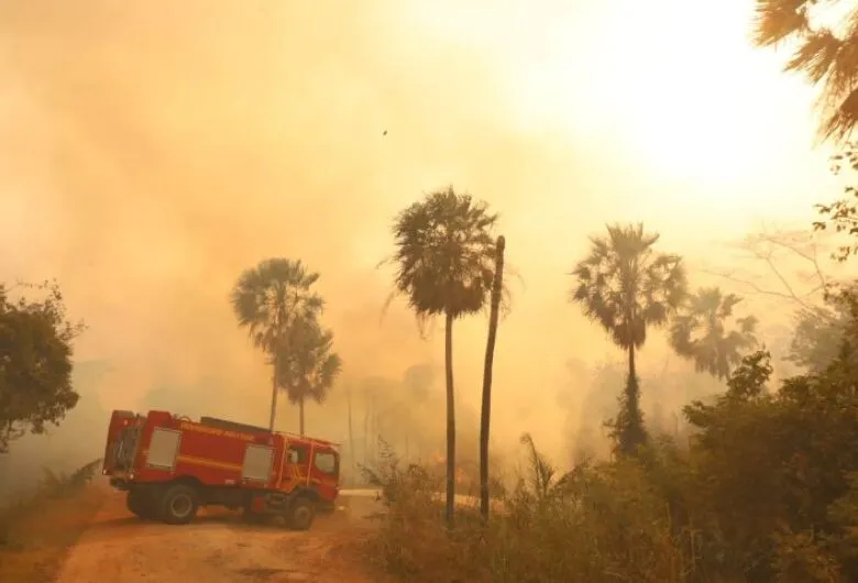 El Niño eleva risco de fogo no Pantanal e Estado prepara bases avançadas, aeronaves e tecnologia