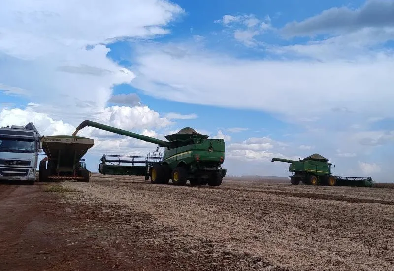 Colheita da soja e plantio do milho avançam em ritmo mais lento em MS