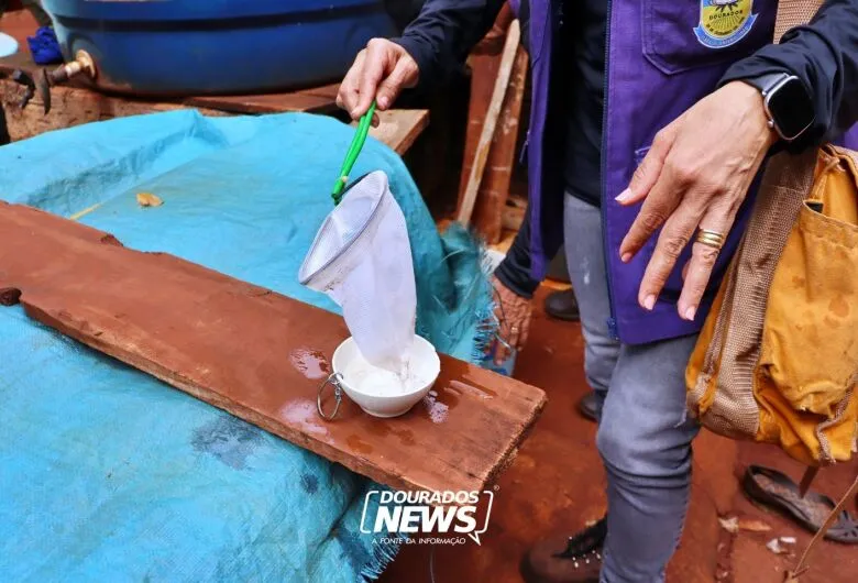 Saúde articula para trazer vacina da chikungunya a MS após mortes pela doença