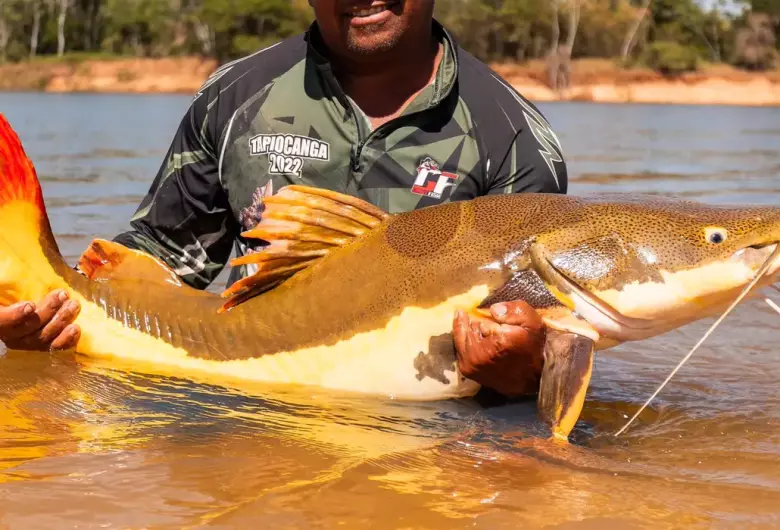 COP15 aprova maior proteção de bagres gigantes da Amazônia e ariranhas