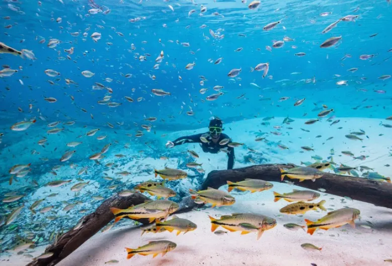 Turismo de MS reforça protagonismo e é destaque nacional