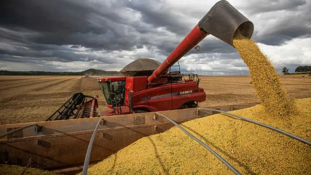 MS amplia estimativa de produção de grãos para 29,6 mi de toneladas na safra 25/26