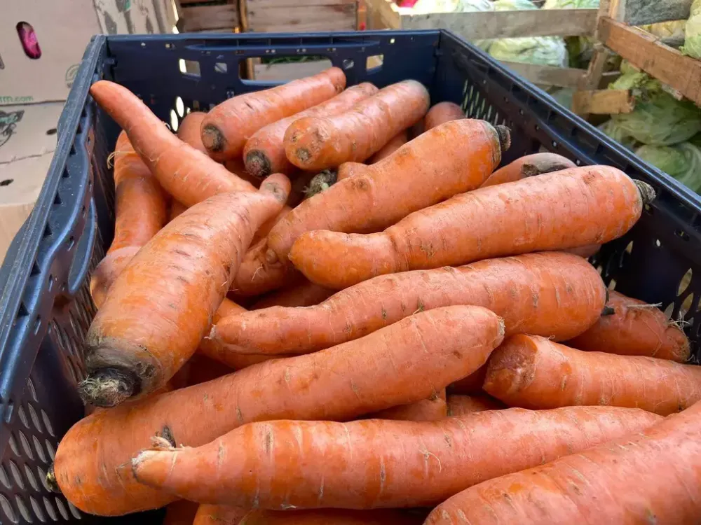 Com aumento de 8,33%, cenoura puxa alta no preço da feira