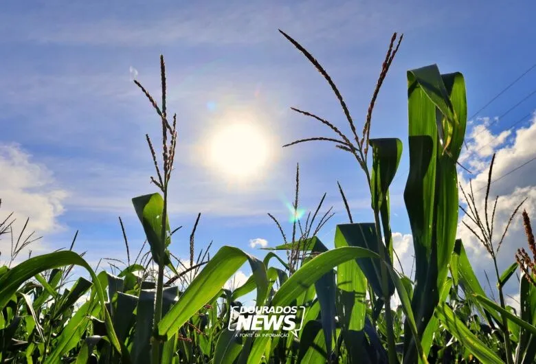 Previsão indica início de semana quente e com aumento de nuvens em Dourados