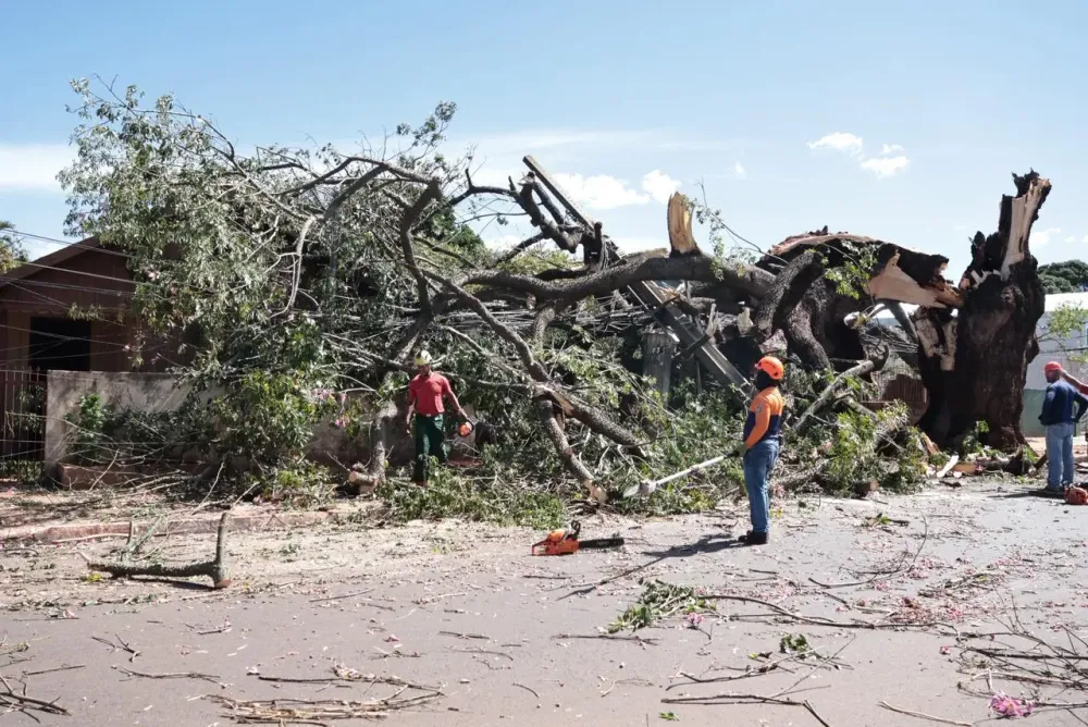 Idosa ia ao posto de saúde ao ser atingida e ficar presa em árvore de 30 metros no Santo Antônio