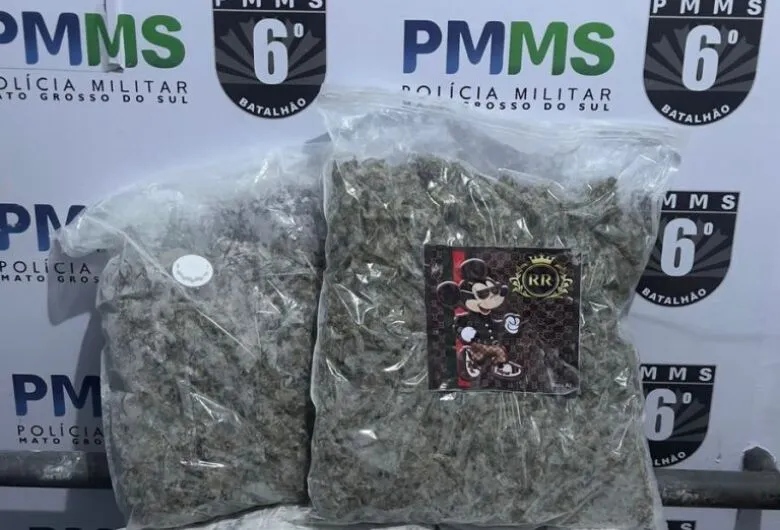 Droga apreendida pela polícia - Crédito: Divulgação