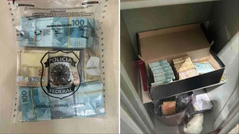 Itens apreendidos durante a Operação Lepidosiren, em agosto de 2024. (Foto: Divulgação, PF)
