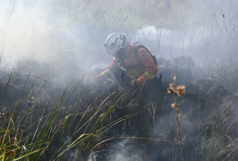 Governo de MS já declarou situação de emergência ambiental por 180 dias - Crédito: Divulgação/Ascom
