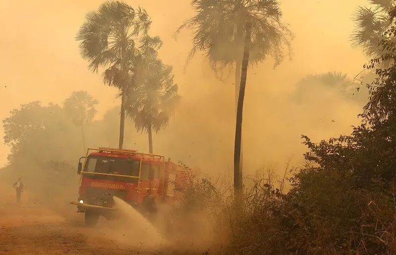 Incêndio no Pantanal