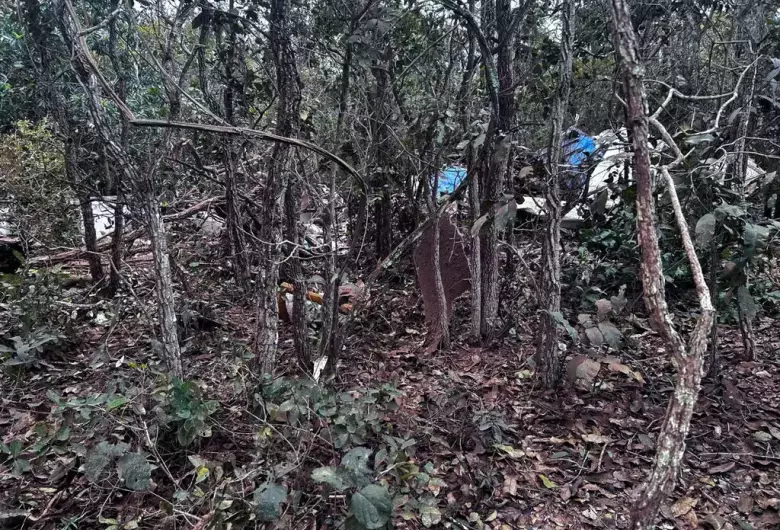 Acidente que matou piloto e pesquisadora em Campo Grande - Crédito: Divulgação/Corpo de Bombeiros