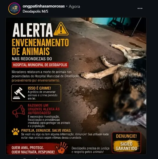 Foto da publicação da ONG